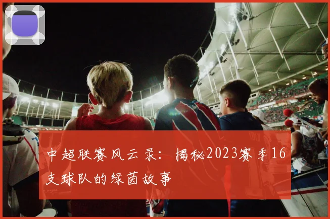 中超联赛风云录：揭秘2023赛季16支球队的绿茵故事