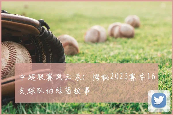 中超联赛风云录：揭秘2023赛季16支球队的绿茵故事
